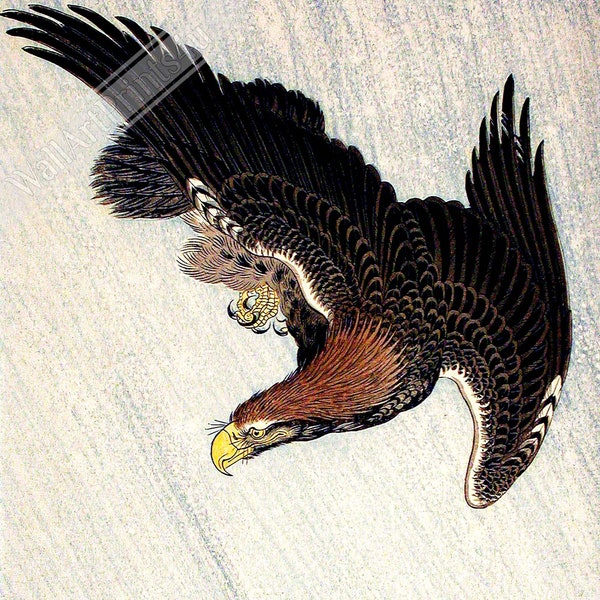 Vintage Eagle Poster Print, Ohara Koson, Japanese Eagle Art - Vintage Eagle Print Poster UK, EU USA Domestic Shipping