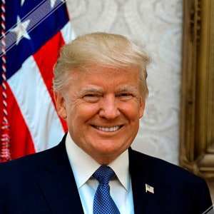 Donald Trump Poster, 45th President Of These United States, Vintage Photo Portrait - Donald Trump Print UK, EU USA Domestic Shipping