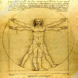 Vitruvian Man Print, Leonardo Da Vinci 1490, Vintage Vitruvian Man Poster Print UK, EU USA Domestic Shipping