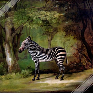 Zebra Poster, Vintage Zebra Art - Vintage Zebra Print UK, EU USA Domestic Shipping