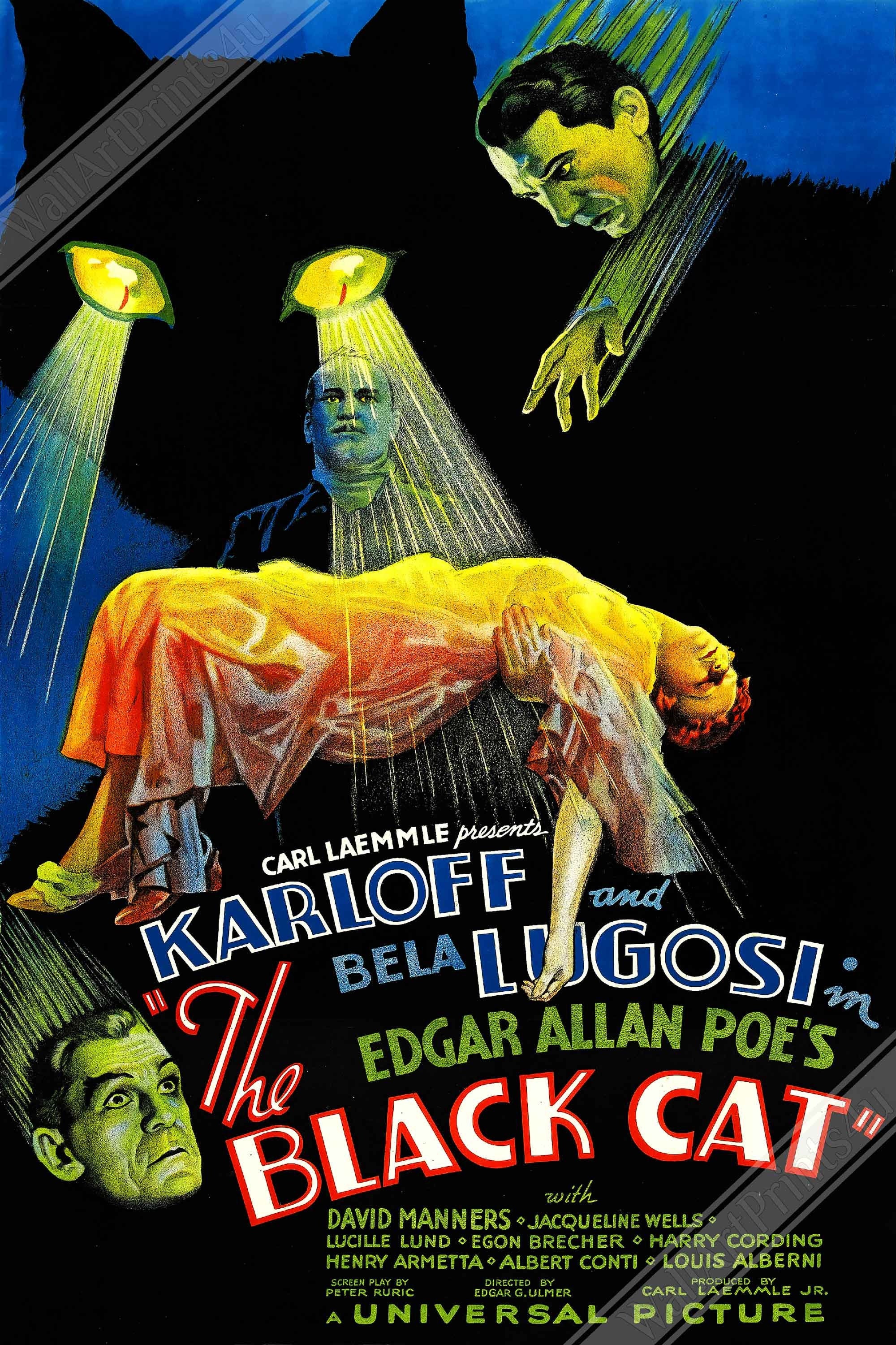 1934年映画『黒猫』ポスター：カーロフ＆ルゴシ、ヴィンテージホラー