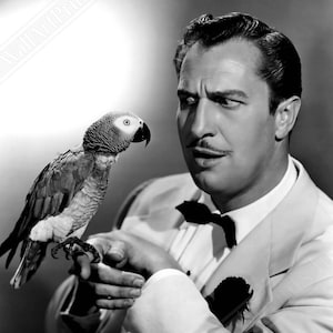 Vincent Price Poster, Horror Anti Hero - Iconic Vincent Price Print - Legends Of Hollywood Silver Screen Star UK, EU USA Domestic Shipping