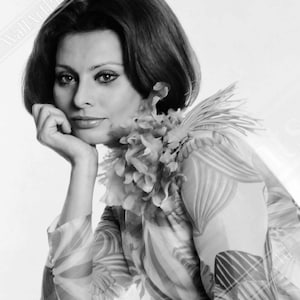 Sophia Loren Poster, Voluptuous Sex Goddess, Vintage Photo - Iconic Sophia Loren Print - Hollywood Silver Screen Star