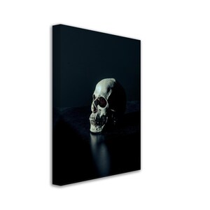 Human Skull Canvas, White Skull On Black Surface Canvas Print