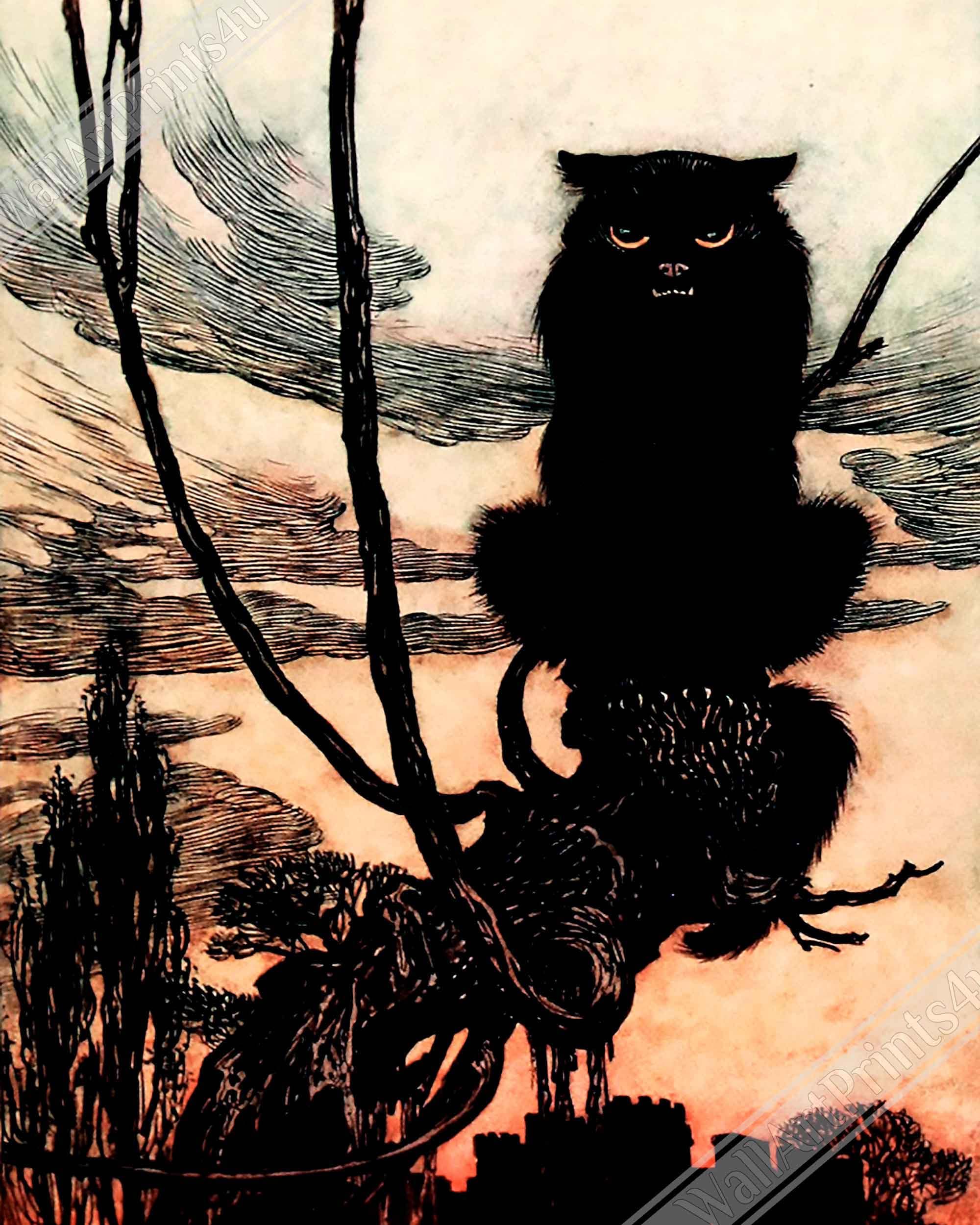 Vintage Witches Cat Poster - Arthur Rackham Witches Cat - Arthur Rackham Print UK, EU USA Domestic Shipping