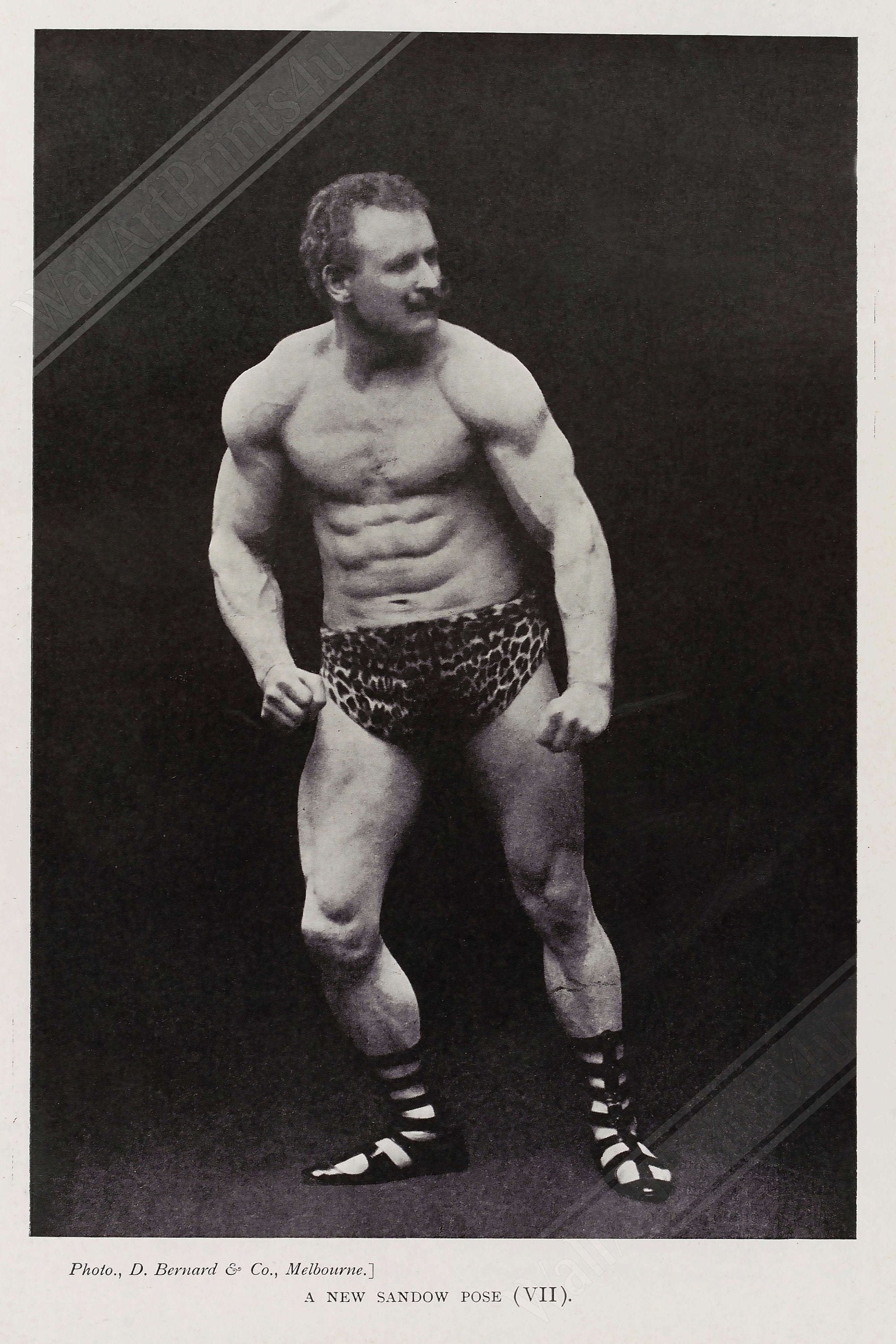 Eugen Sandow Poster, Victorian Bodybuilder, Vintage Photo Eugen Sandow Print - Victorian Strongman Beefcake UK, EU USA Domestic Shipping