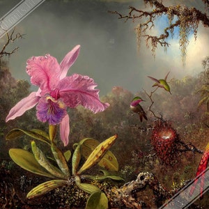 Poster orchidée rose - orchidée Cattleya avec trois colibris - impression d&#39;art orchidée vintage Royaume-Uni, UE USA livraison nationale
