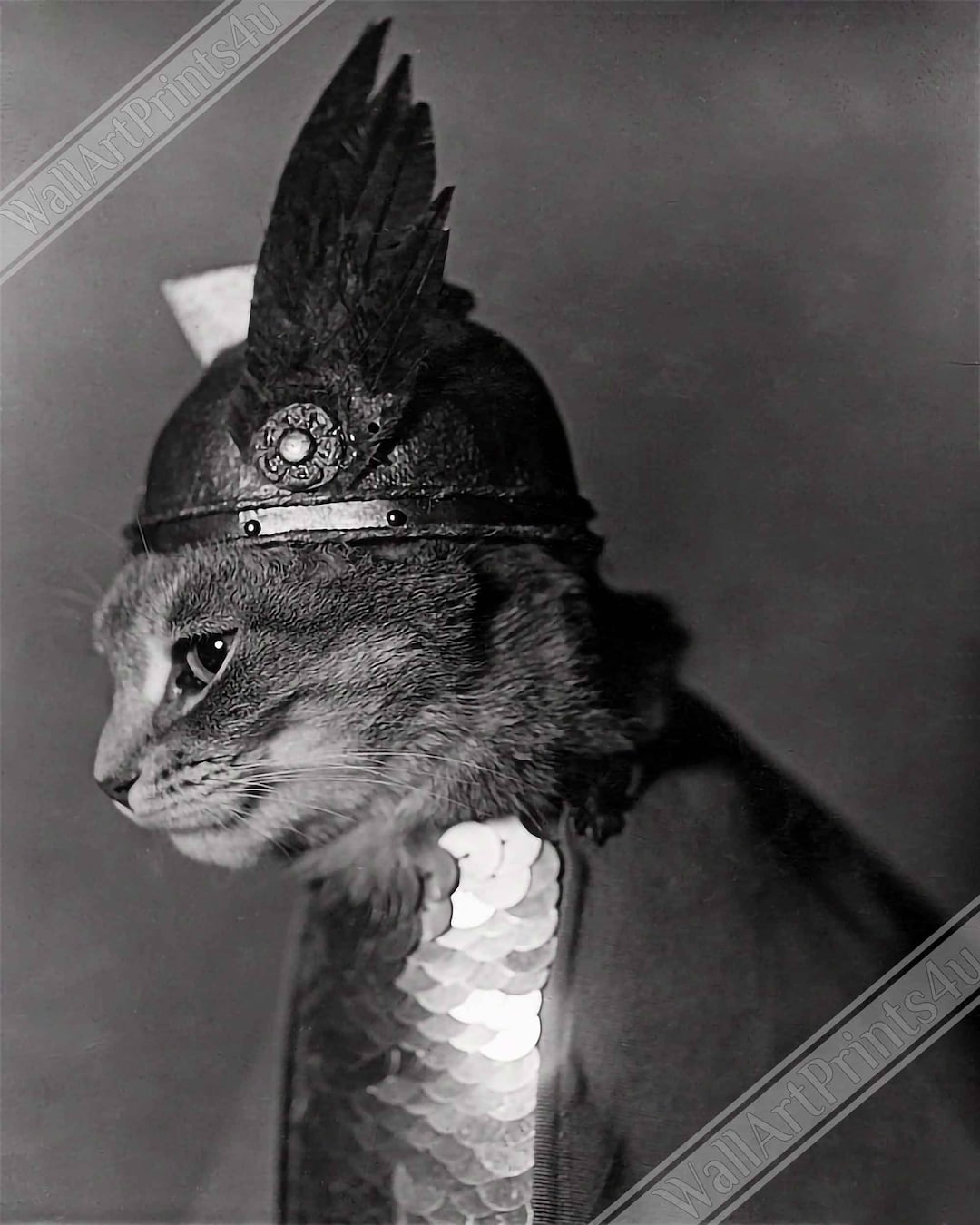 Vintage Cat Poster: Viking Helmet Brunhilde Print (1936) - Etsy