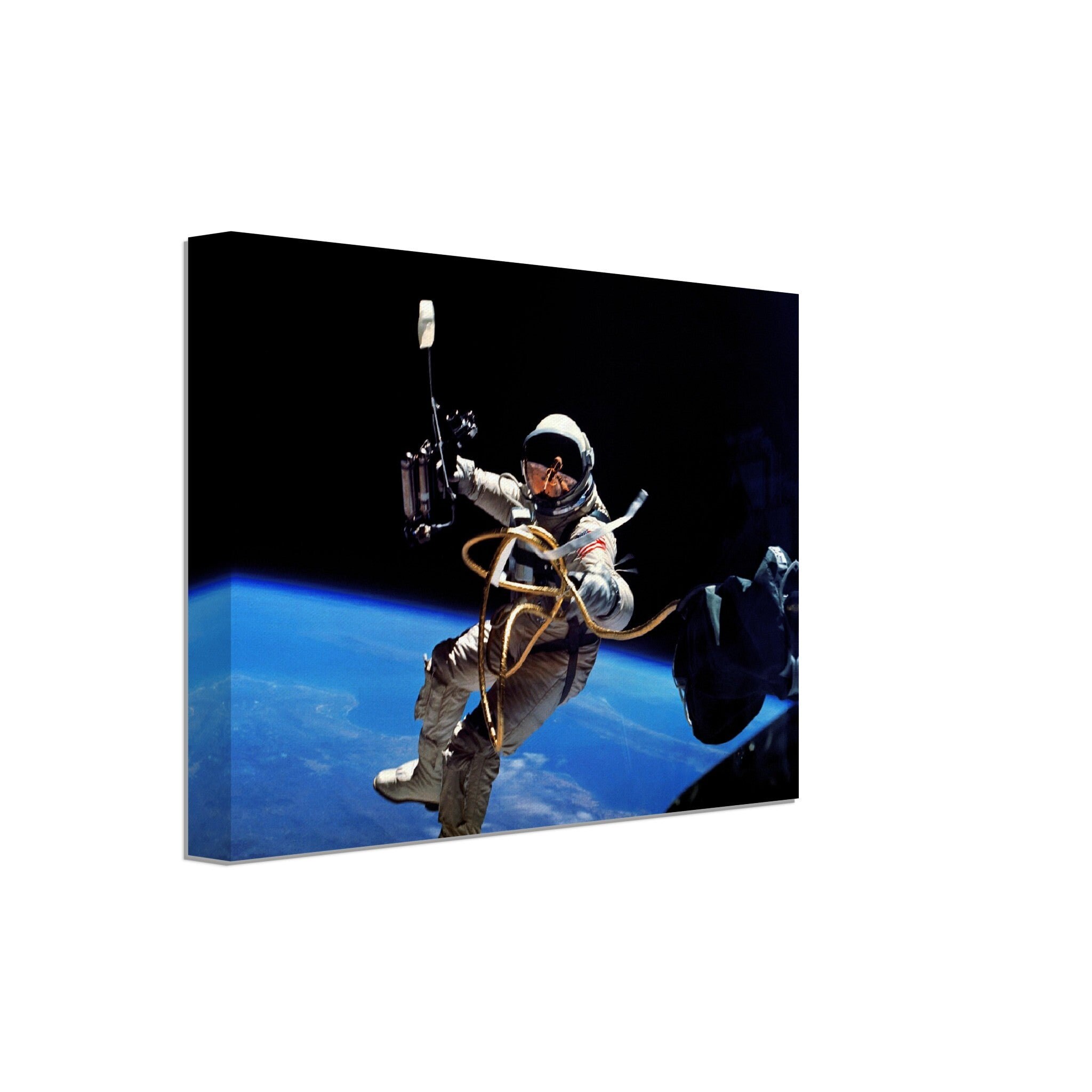 Astronaut Canvas - Vintage Astronaut Americas First Space Walk