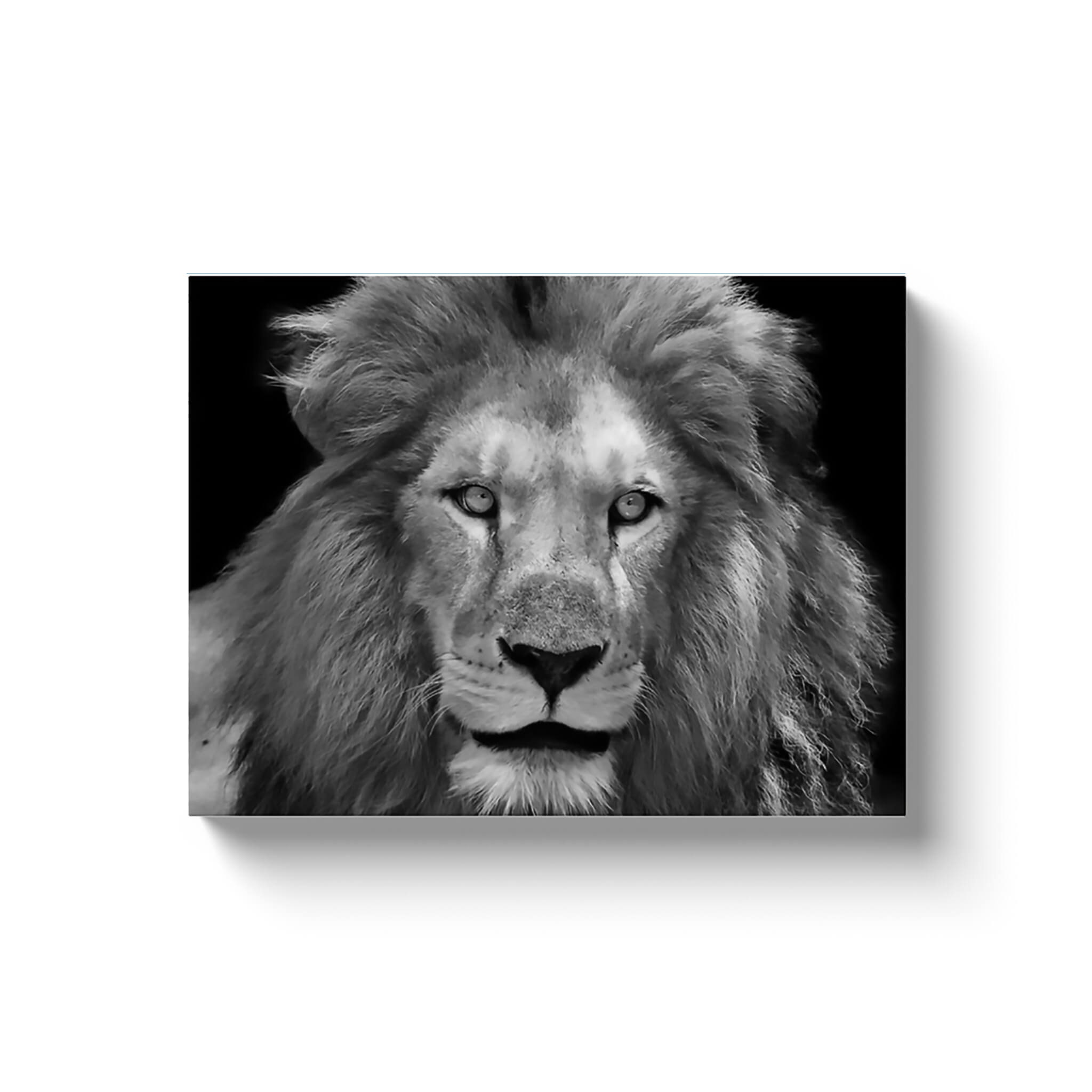 Black and White Lion Canvas Print Giant Lion Canvas Epic Lion Etsy