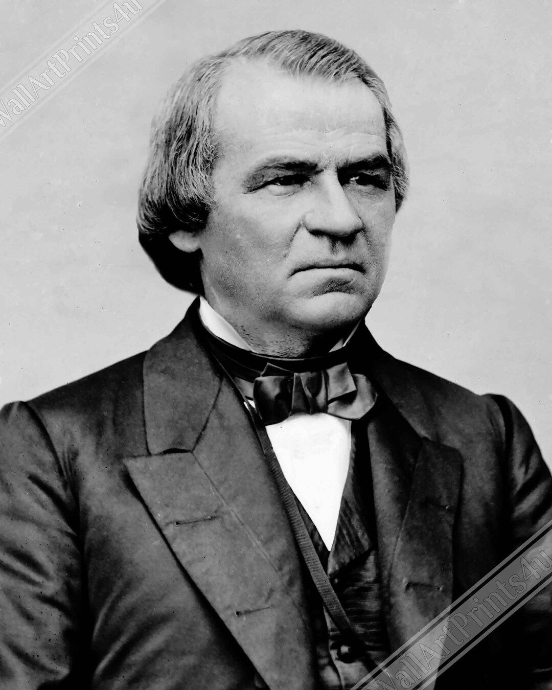 アンドリュー・ジョンソンの肖像：第17代アメリカ大統領、ヴィンテージ