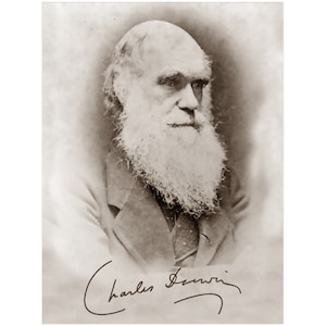 Charles Darwin Poster, Evolution Theory Vintage Photo With Signature Charles Darwin Print UK, EU USA Domestic Shipping