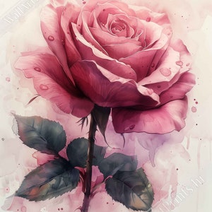 Impresionante póster de rosa en acuarela, estilo vintage