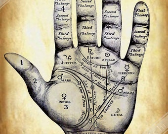 Palmistry Poster, Palmistry Hand Print Parchment Aged Paper Life Line, Fate Line, Marriage Line UK, EU USA Domestic Shipping