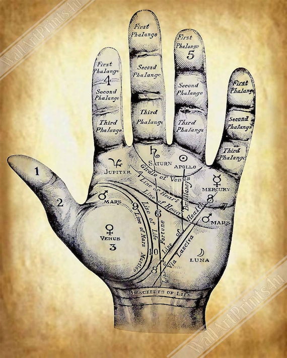 Fate Line in Palmistry - Astroyogi