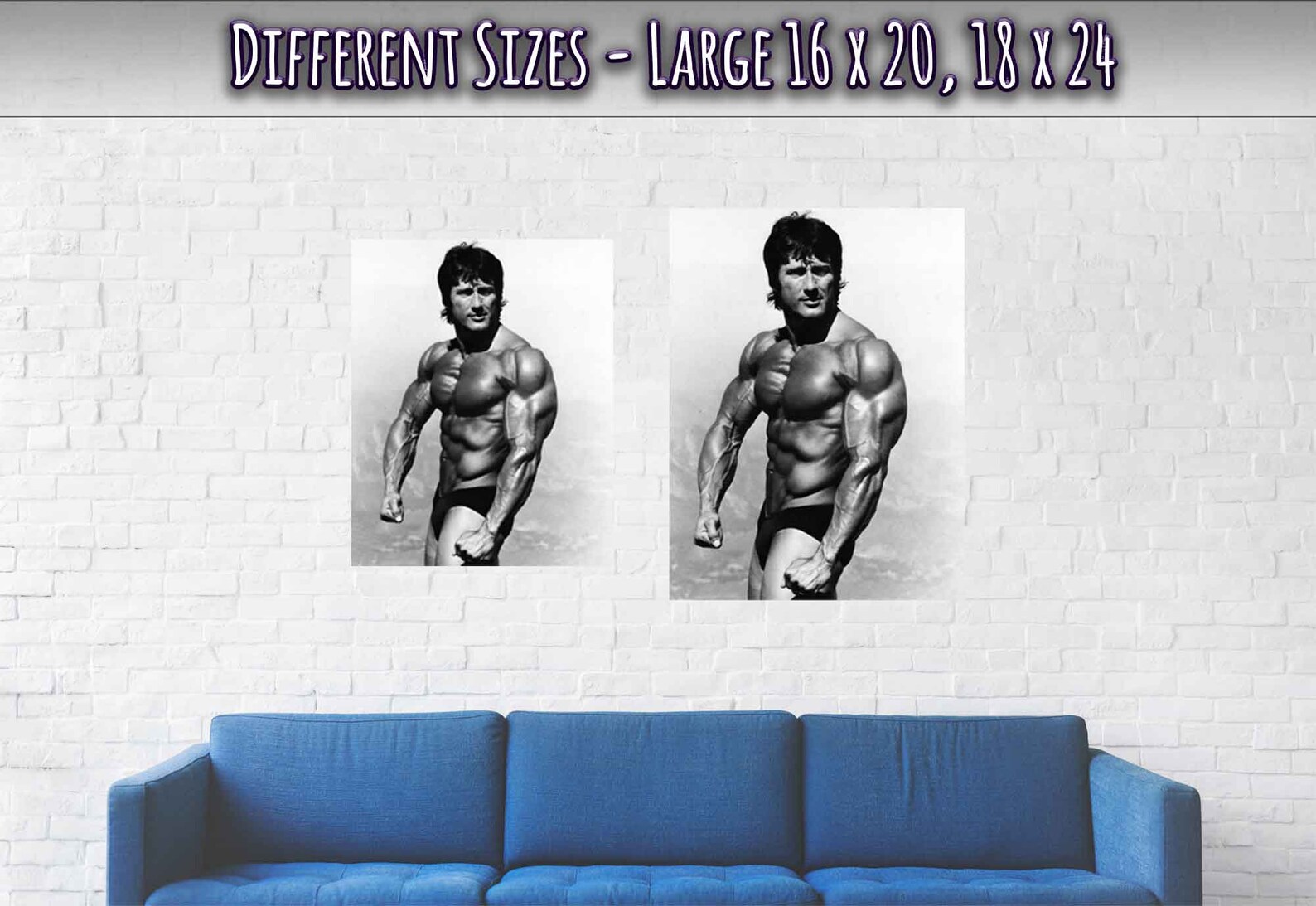 Frank Zane Poster Three Time Mr Olympia Vintage Photo Etsy