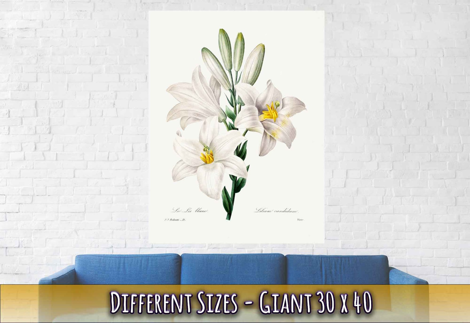 Vintage White Lily Poster Flower Wall Art Madonna Lily - Etsy