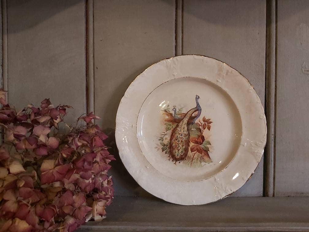 Magnifique Assiette Français Vintage avec Deux Paons