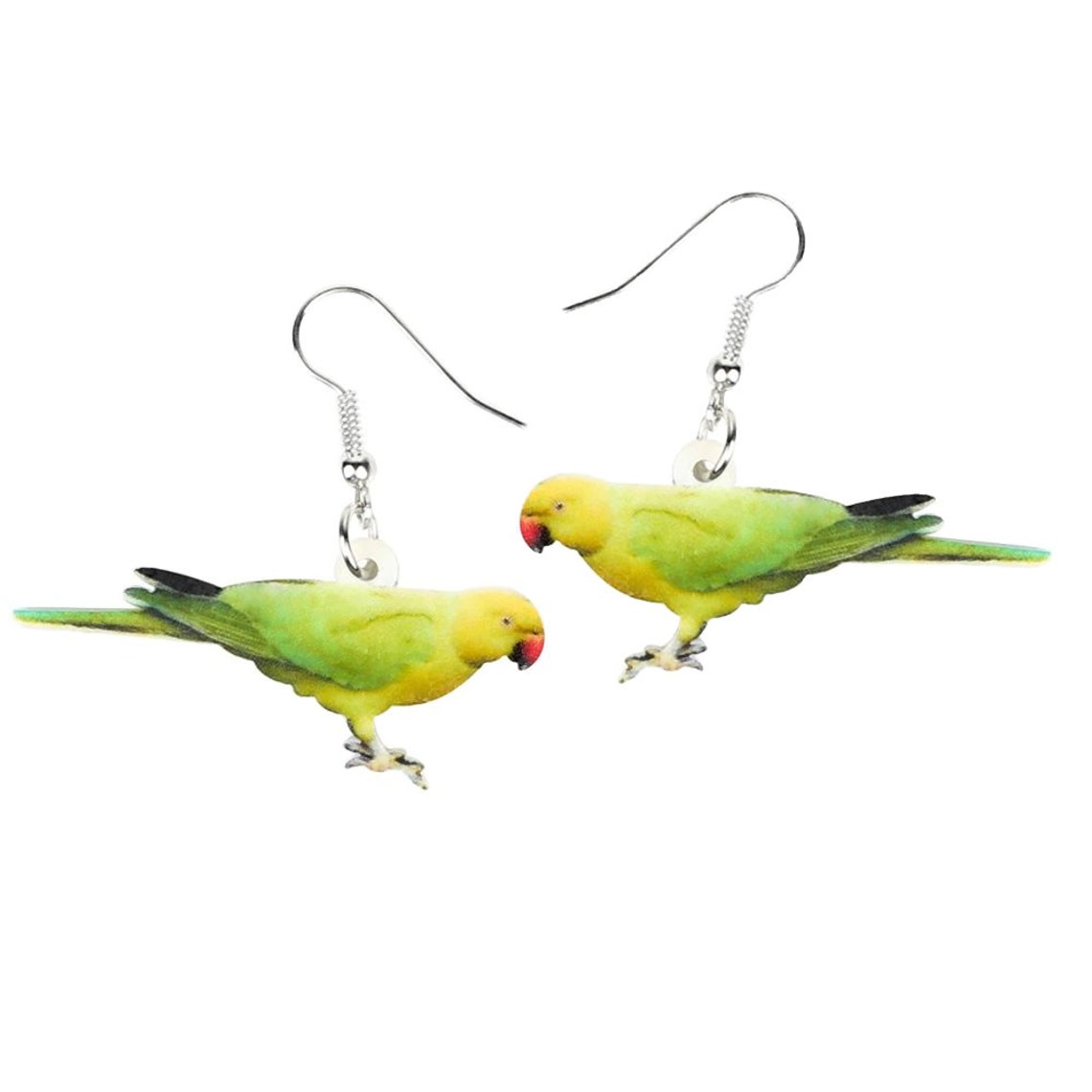 Bird Parrot Earrings Greencheeked Conure Sun Conure Green / Etsy