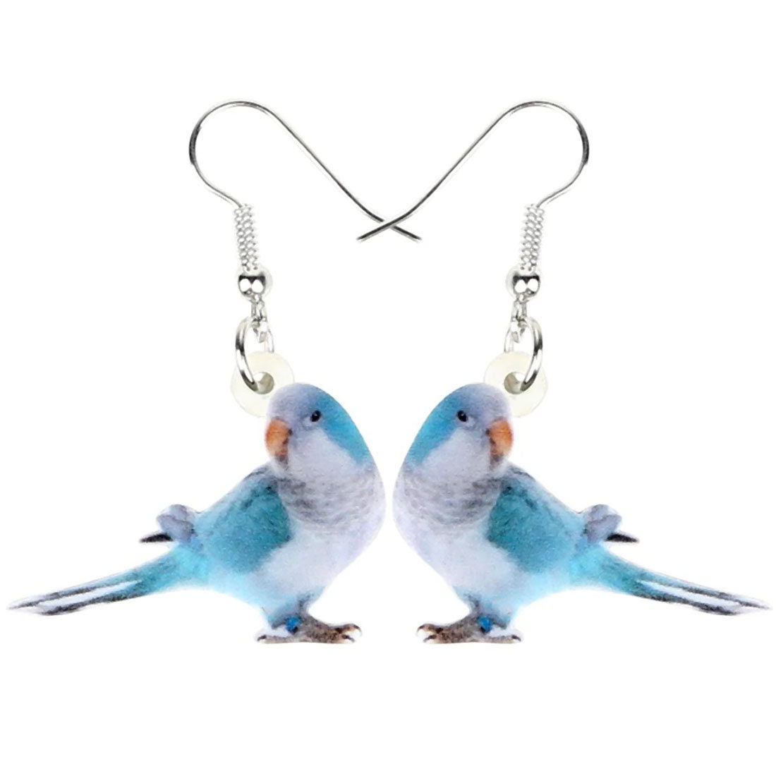 Bird Parrot Earrings Greencheeked Conure Sun Conure Green / Etsy