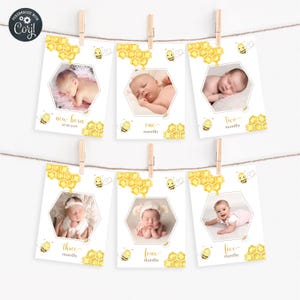 1st Birthday Photo Banner, First Birthday Photo Cards, Honey Bee Milestone Photo Board, Bee Day Photo Cards, 1st Bee Day Decor Bee Day Party