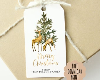 Editable Christmas Tags, Christmas Tags Printable, Holiday Gift Tag, Christmas Favor Tags, Christmas Gift Tag, Digital Files FP-CTR-C06