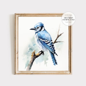 Aquarell Blue Jay, Aquarell Vogel Druck, Blue Jay Art Print, Natur Liebhaber Geschenk, Blue Jay Liebhaber, Vogelbeobachter Druck, Digitaldruck
