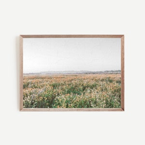 Spring Meadow Art, Spring Field Print, Flower Field Landscape Print, Wildflower Field Art, Digital Prints