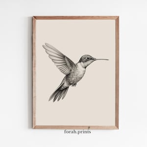 Vintage Hummingbird Sketch, Hummingbird Wall Art, Bird Illustration, Botanical Print, Nature Decor, Antique Style Art, Printable Download