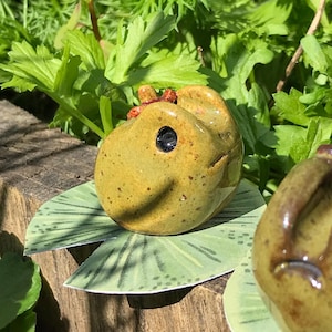 May include: Three ceramic frog figurines in shades of green and brown, each with a unique expression. They rest on green lily pad-shaped bases, set against a backdrop of lush green foliage and a weathered wooden surface.