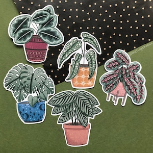 Peut inclure: Cinq autocollants illustrés de plantes avec différents types de plantes en pots. Les plantes sont un monstera, un calathea, un maranta, un philodendron et un bégonia. Les autocollants sont sur un fond vert avec des pois dorés.