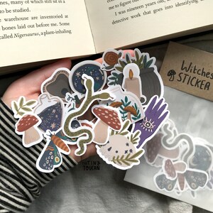 May include: A selection of witch-themed stickers with illustrations of mushrooms, snakes, candles, potion bottles, and a hand with an eye. The stickers are held in a hand. A small brown card reads "Witches STICKER".