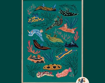 Nudibranch Sea Slug A4 Fine Art Print- Colourful Interior Decor- Sustainable gifting