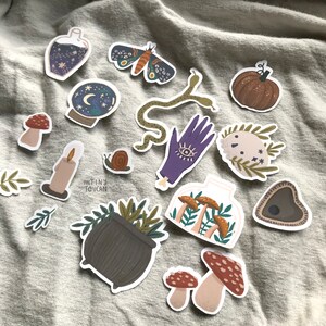 May include: A selection of whimsical stickers with mystical and natural themes. Designs include a potion bottle, moth, crystal ball, snake, pumpkin, hand with an eye, mushrooms, and a cauldron. The stickers are in various colours, including purple, green, and brown.