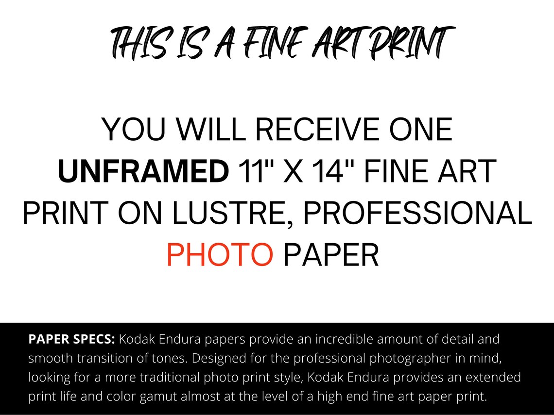 11x14 Fine Art Kodak Photo Paper Print Big Eyed Girl With a Red Heart