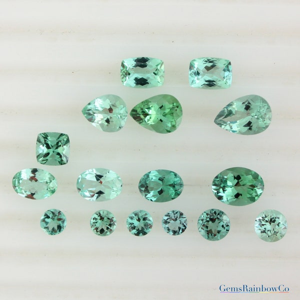 tn ghost green mint