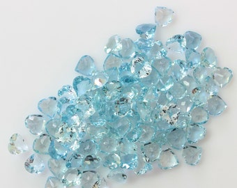 ❤️高品質のレアな深海島アクアマリン❤️ 深海生物オオメンダコ展示｜アクアマリンふくしま