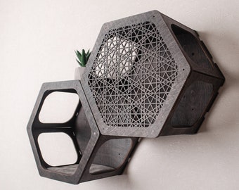 May include: A wall-mounted cat condo made of dark wood with a geometric design. The condo has two hexagonal compartments, one with a solid front and the other with a patterned front. A small plant is sitting on top of the condo.