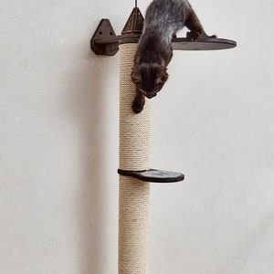 May include: A brown kitten climbs a tall, beige rope-covered cat tree with multiple platforms. The cat tree is mounted to a white wall. The top platform has a small, brown, wooden roof.