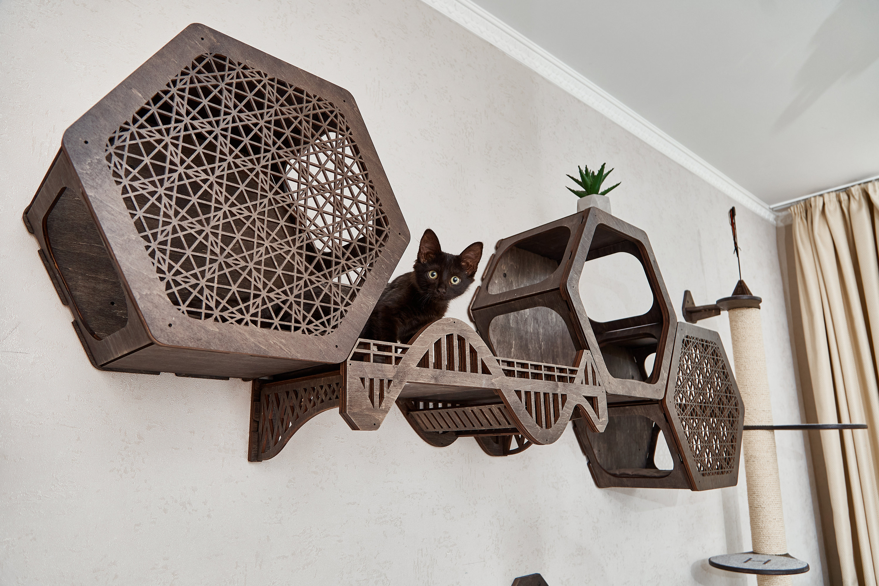 Cat furniture, modern cat shelves tree, cat bed, cat hexagon, cat climb wall, cat condo, cat perches, cat wall furniture set, wall cat tree