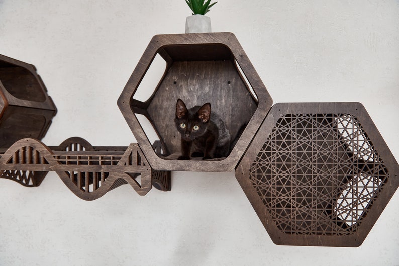 Puede incluir: Un gato negro se sienta dentro de una estanter&iacute;a hexagonal de madera para gatos. La estanter&iacute;a forma parte de un &aacute;rbol para gatos m&aacute;s grande con un puente y otra estanter&iacute;a hexagonal con un patr&oacute;n geom&eacute;trico.