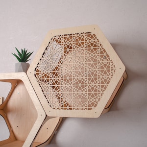 Puede incluir: Un conjunto de estantes hexagonales de madera con un patr&oacute;n geom&eacute;trico recortado. Los estantes son de madera clara y est&aacute;n fijados a una pared. Una peque&ntilde;a planta en maceta se encuentra en uno de los estantes.