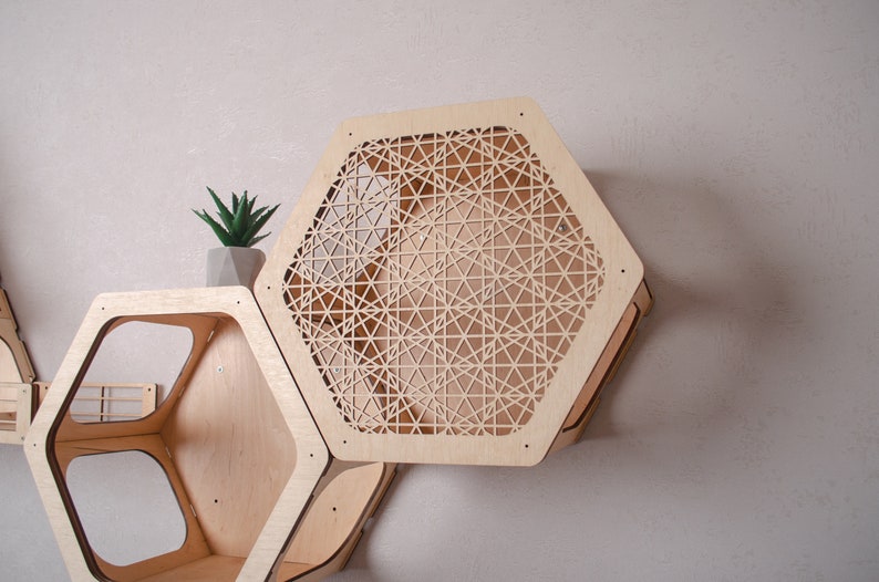 Puede incluir: Un conjunto de estantes hexagonales de madera con un patr&oacute;n geom&eacute;trico recortado. Los estantes son de madera clara y est&aacute;n fijados a una pared. Una peque&ntilde;a planta en maceta se encuentra en uno de los estantes.