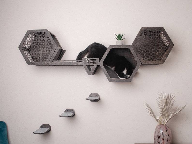 Puede incluir: Un gato blanco y negro descansando en un condominio hexagonal para gatos hecho de madera con un patr&oacute;n geom&eacute;trico. El condominio est&aacute; montado en una pared con una peque&ntilde;a planta en una maceta en la parte superior. Hay tres estantes hexagonales adicionales en la pared.