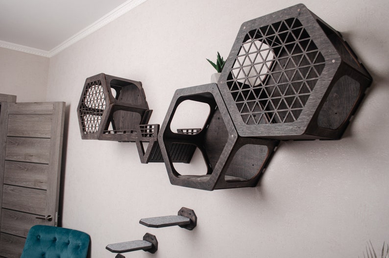 Puede incluir: Un conjunto de estantes hexagonales hechos de madera oscura con un patr&oacute;n geom&eacute;trico. Los estantes est&aacute;n montados en una pared blanca y est&aacute;n dispuestos en un patr&oacute;n escalonado. Hay dos peque&ntilde;as plataformas debajo de los estantes.