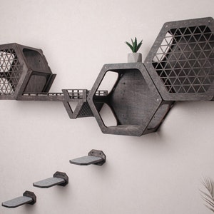 Puede incluir: Un &aacute;rbol para gatos moderno hecho de madera oscura con estantes hexagonales y un puente. El &aacute;rbol para gatos est&aacute; montado en una pared blanca e incluye una peque&ntilde;a planta en una maceta gris. Tambi&eacute;n hay tres plataformas grises que est&aacute;n montadas en la pared.