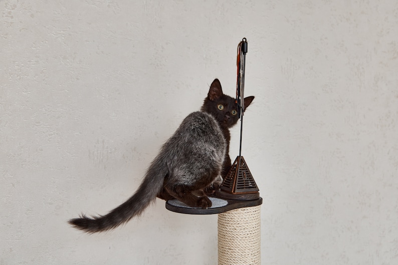 May include: A black kitten with green eyes sits on a cat tree, looking over its shoulder. The cat tree has a brown platform and a beige rope-covered post.