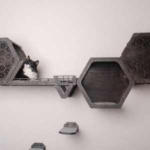 Puede incluir: Un gato blanco y negro sentado en un estante de madera con casas hexagonales para gatos. El estante est&aacute; fijado a una pared blanca. Las casas para gatos tienen un patr&oacute;n geom&eacute;trico.