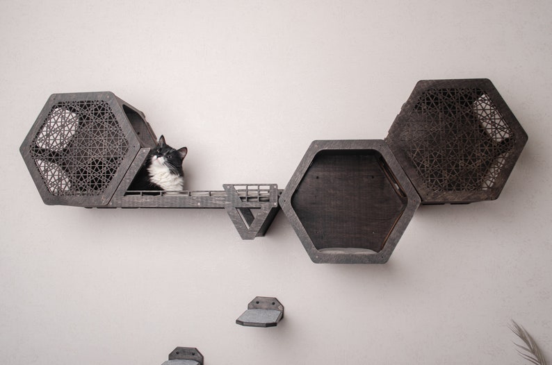 Puede incluir: Un gato blanco y negro sentado en un estante de madera con casas hexagonales para gatos. El estante est&aacute; fijado a una pared blanca. Las casas para gatos tienen un patr&oacute;n geom&eacute;trico.