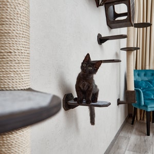 Puede incluir: Un gato negro se sienta en un estante de madera fijado a una pared. El estante es parte de un &aacute;rbol para gatos con m&uacute;ltiples estantes y un poste para rascar. El &aacute;rbol para gatos est&aacute; hecho de madera y cuerda. Un sill&oacute;n azul est&aacute; en el fondo.